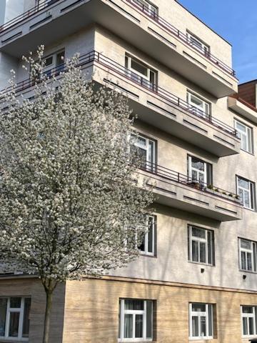 Apartma V Srdci Podebrad Poděbrady Eksteriør billede